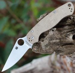 81MPCW2