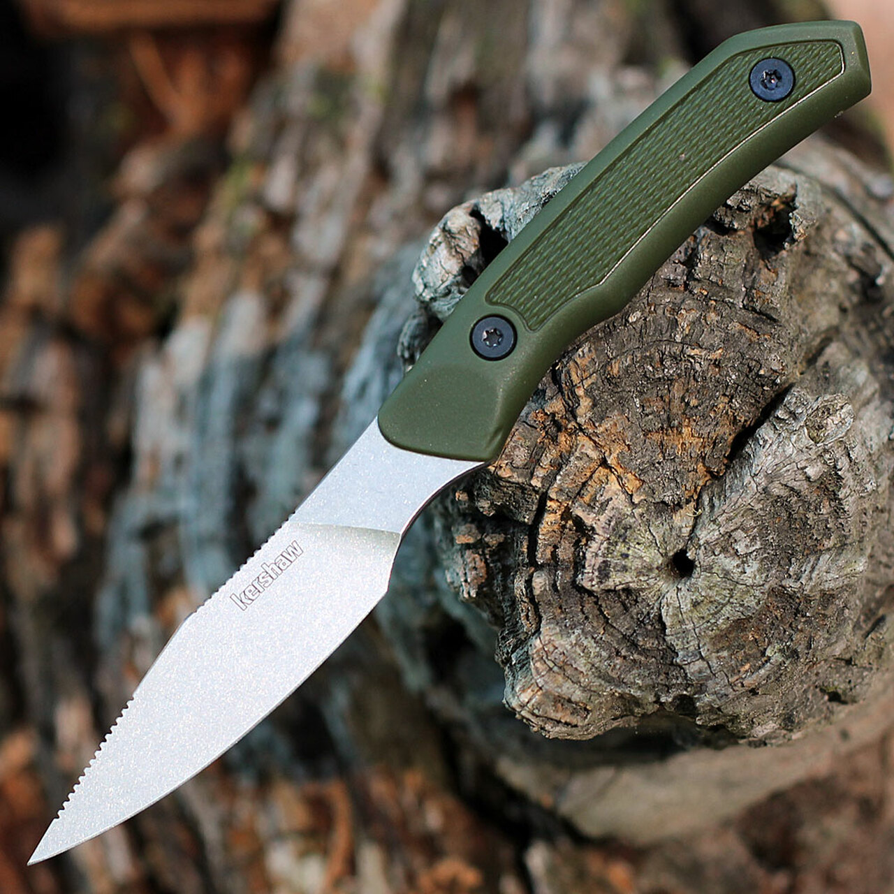 K1882 - Kershaw Deschutes Caper, D2 steel