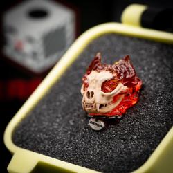 котогонщик 2