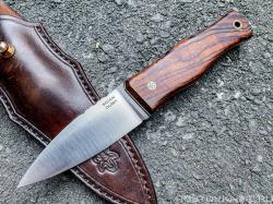 RFC_SGIAN_DUBH