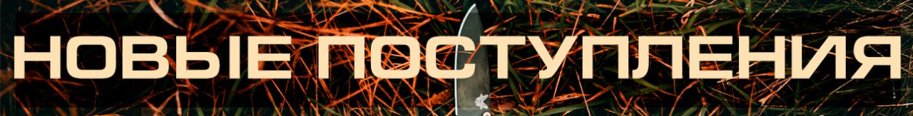 Новые поступления