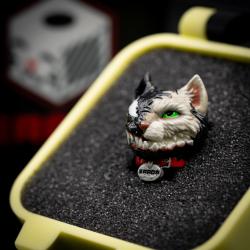 котовеном2