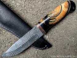 zd001