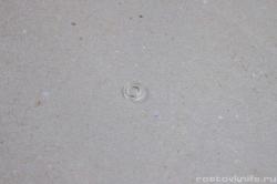 prokladka_ballona_walther_ppk_s