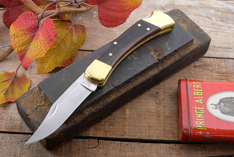 B0110BRS - Buck Folding Hunter, 420HC