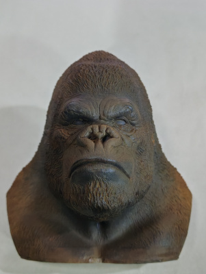 IMG_20260428_135650_edit_1236838170256149