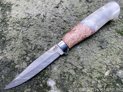 akula_acr_dam