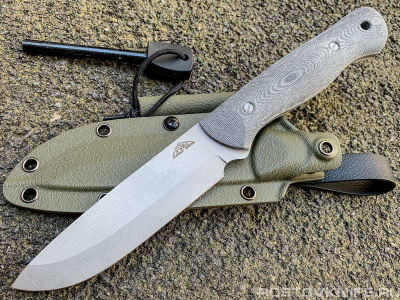 NC_FORESTER_OGNIVO