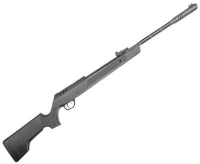 XSA20