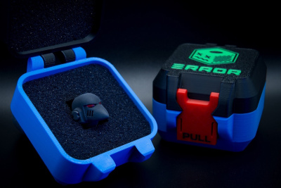 гвардеец ворона кейс