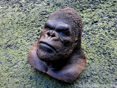 GORILLA