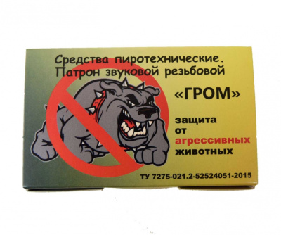 5_patron_zvukovoy_rezbovoy_grom_tula