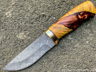 LESNIK_KAP_KL_POL_DAM_PYR