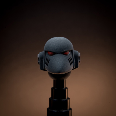 гвардеец ворона